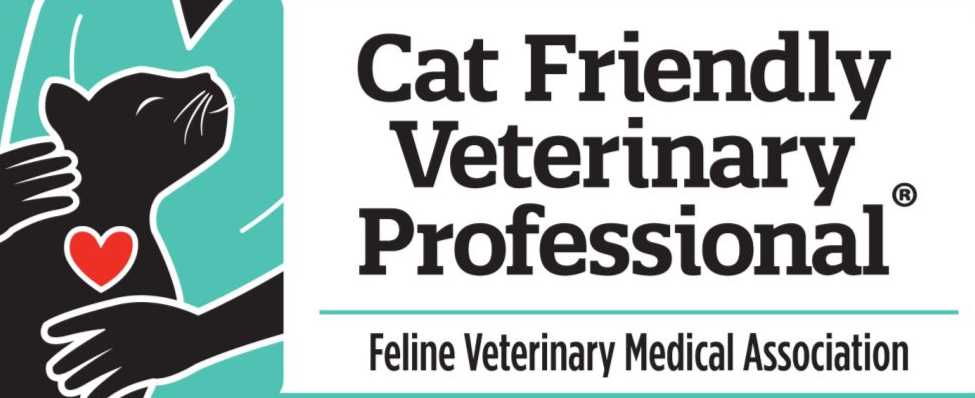 Mapa de atendimento domiciliar