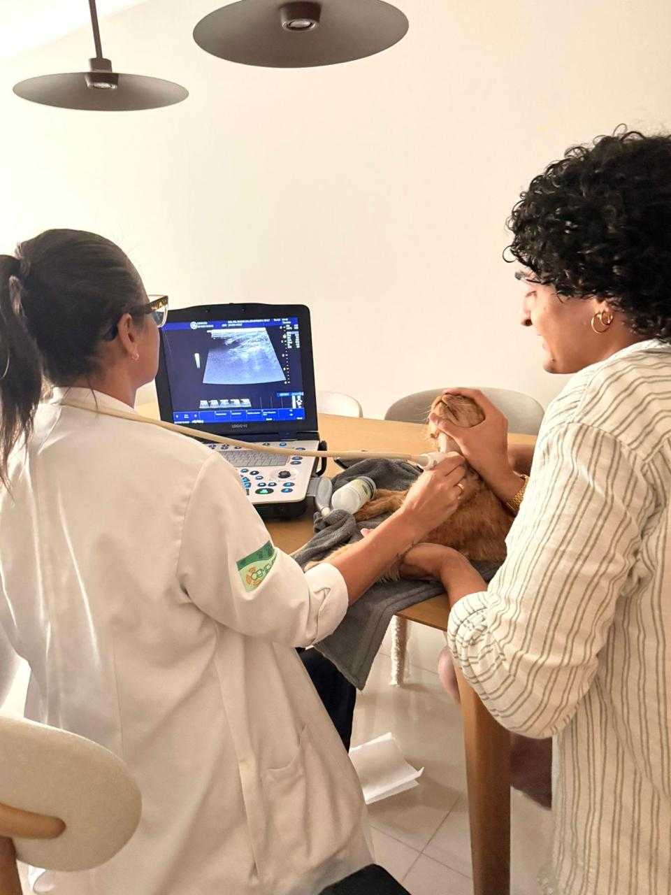 Microchipagem Landing Hero Top Image