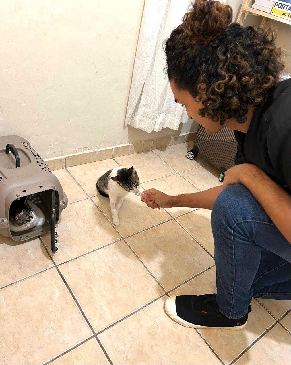 Microchipagem Landing Hero Bottom Image